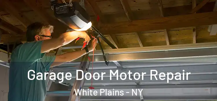  Garage Door Motor Repair White Plains - NY