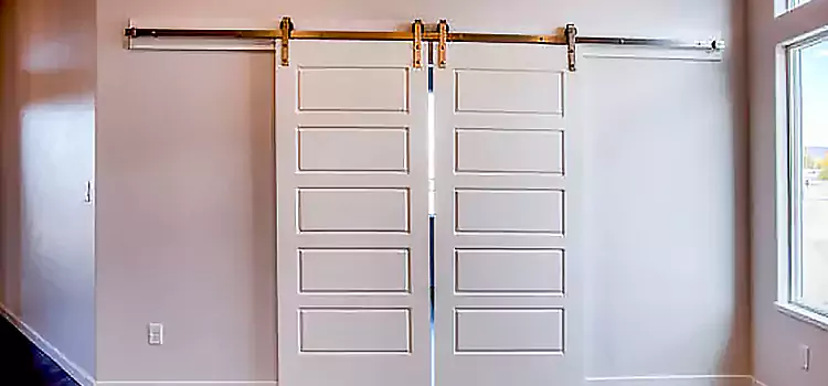 Glass Barn Door with Installation Hardware Kit White Plains